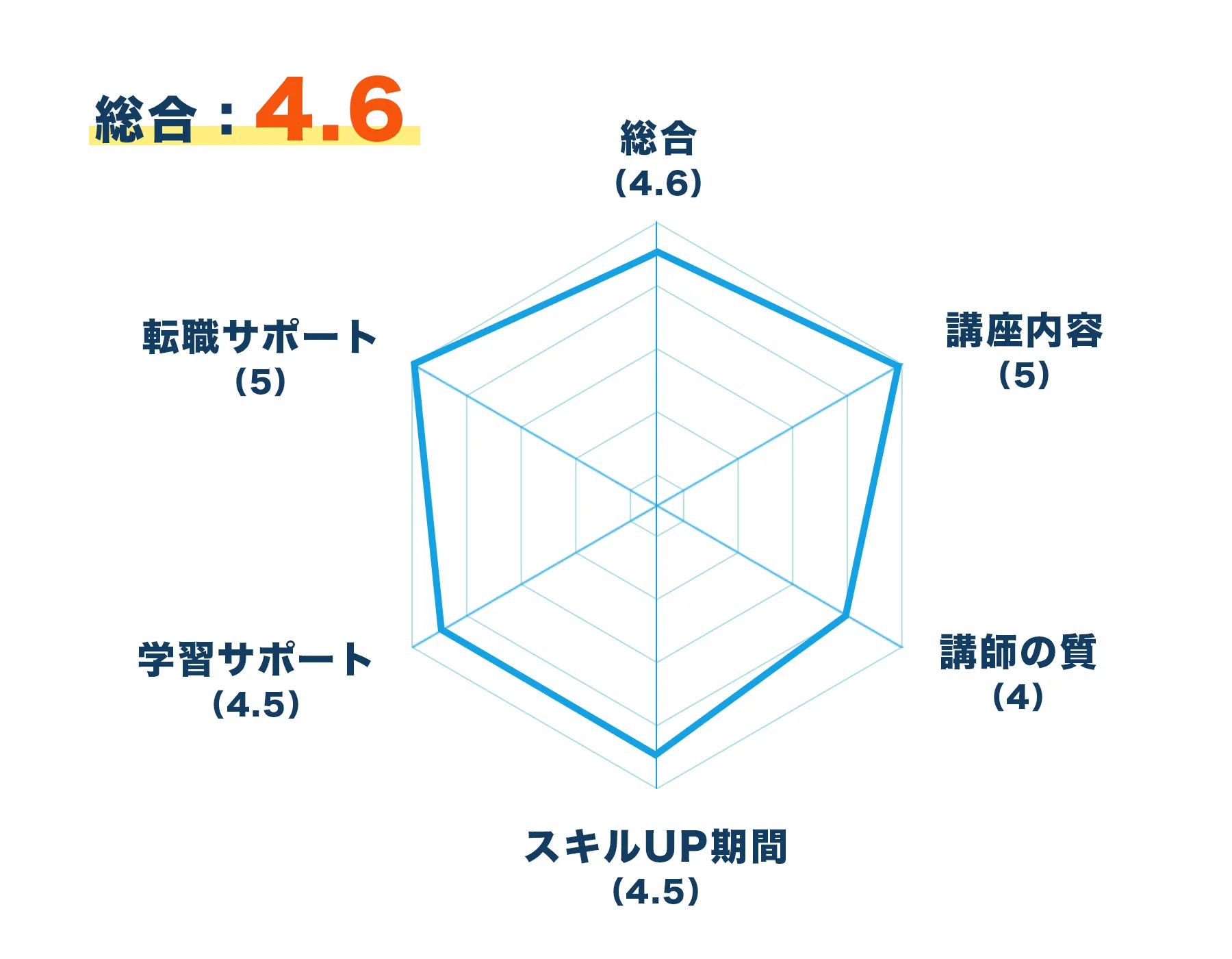 レーダーチャート